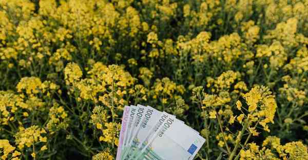 大数据下的工业互联网（大数据下的工业互联网龙头）