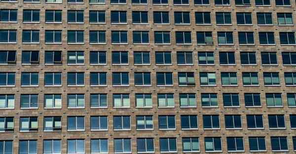 外国语单招大数据的行业文章