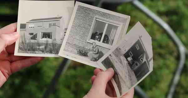 交警大数据应用