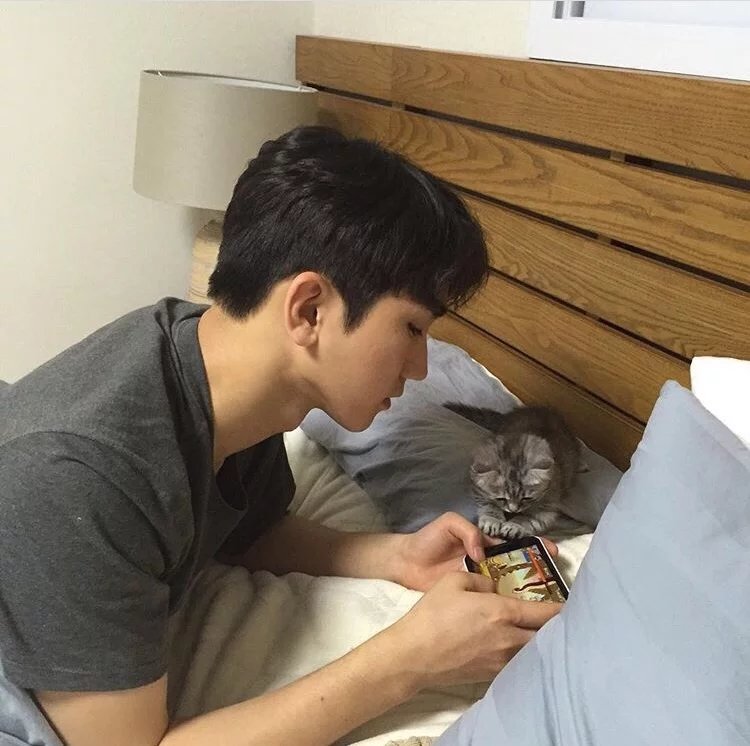 弘娴萱锦
