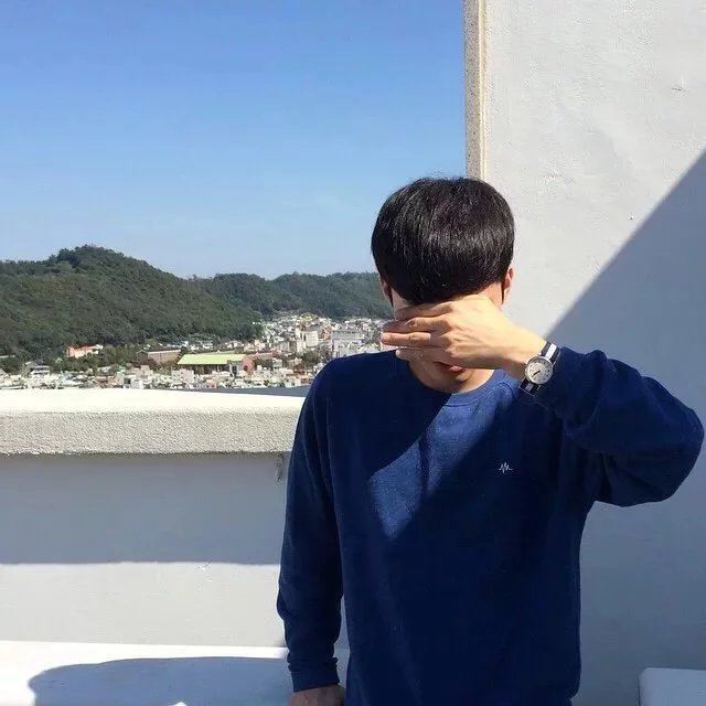 惠仪震蕊