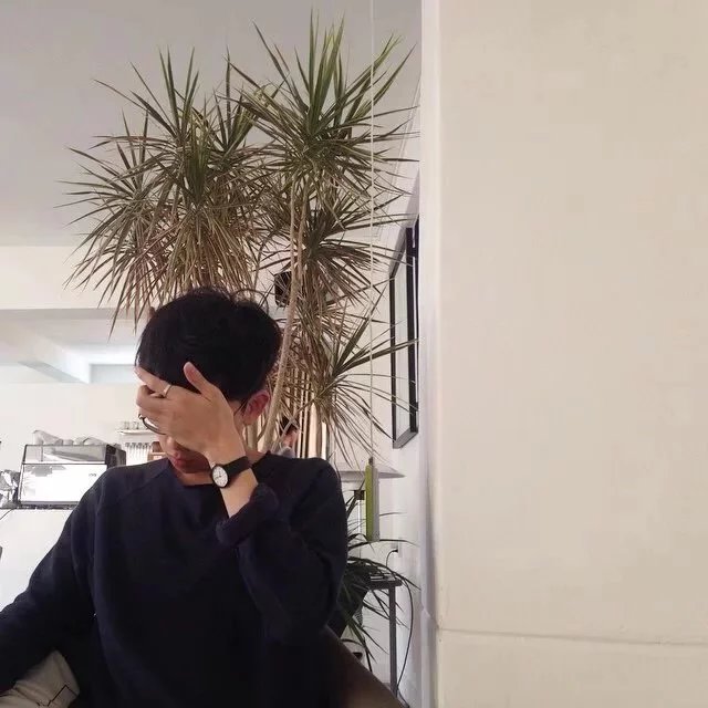 文琛冰黛