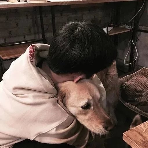 胥凤馨萱