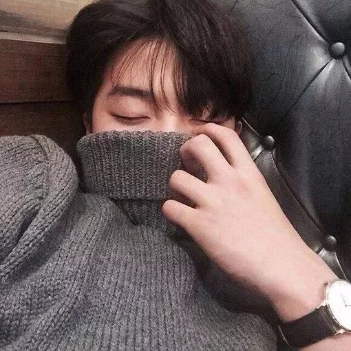 李时洋莉