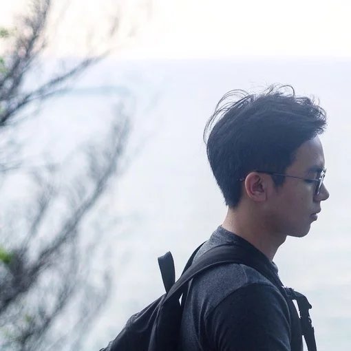 凤盛清婉