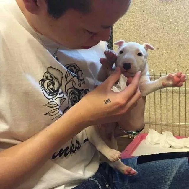 荆菲荔兰